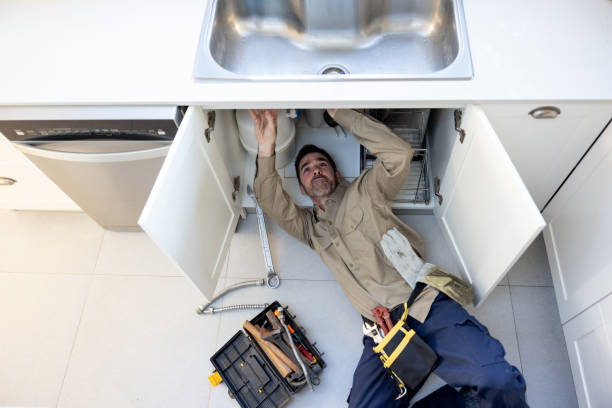 Best Residential Plumbing Services  in Winona, MN