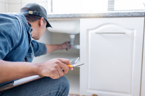 Best Commercial Plumbing Services  in Winona, MN